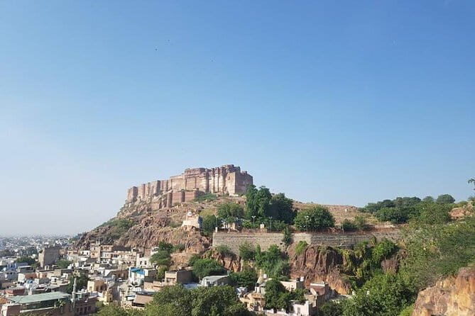 All inclusive Vegetarian Jaipur Food and Heritage Tour - The Sum Up