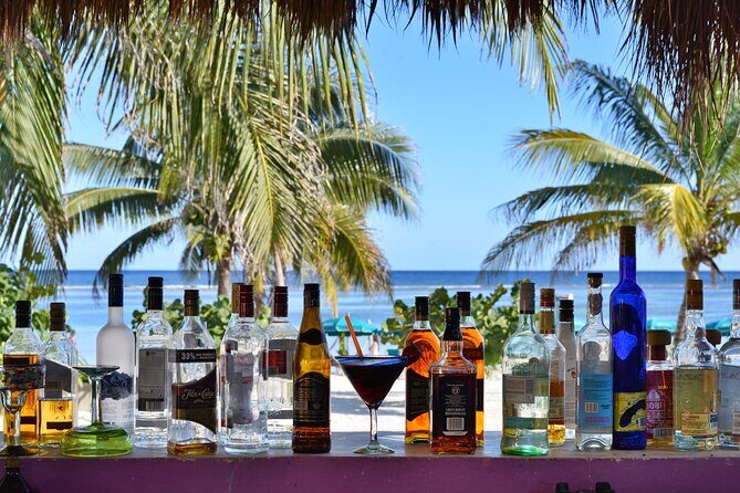 All Inclusive VIP Beach Break Pass at Nacional Beach Club - Who Would Enjoy This Tour?