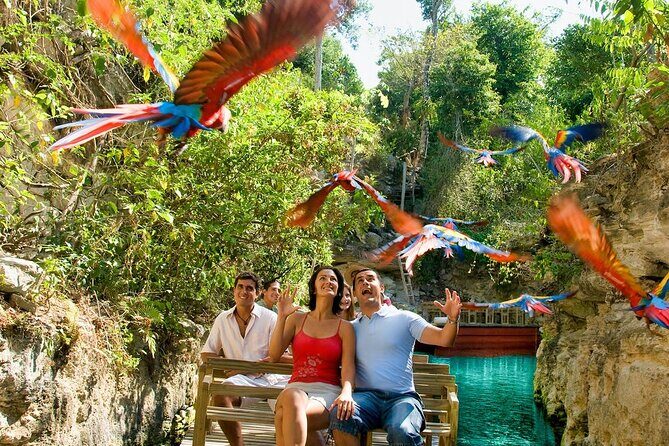 All-inclusive Xcaret Park with Transportation from Cancun & Playa Del Carmen - A Deep Dive into the Xcaret Experience