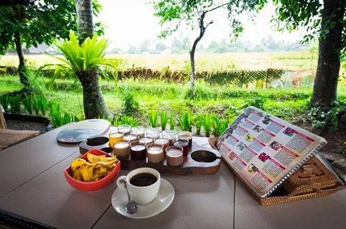 All Inclusives Bali Private Tour Temples Palaces and Nature - The Sum Up