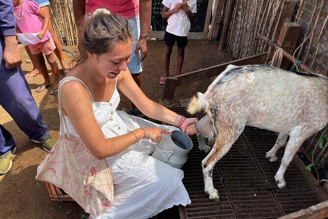 ALL-INCLUSSIVE Cabrer Journey-Live a day like a Cabrer-BoaVista - What Is the Cabrer Journey?