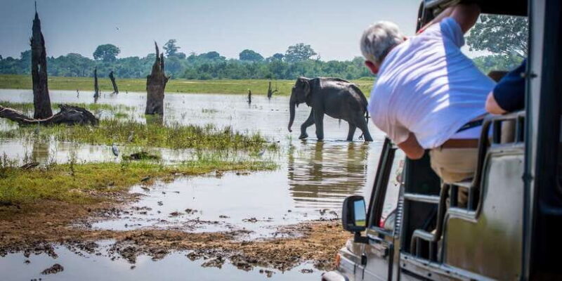 All inclussive Udawalawa National Park Safari From Colombo - FAQs