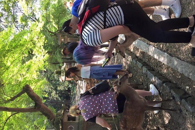 All must-sees in 3 hours - Nara Park Classic Tour! From JR Nara! - FAQs
