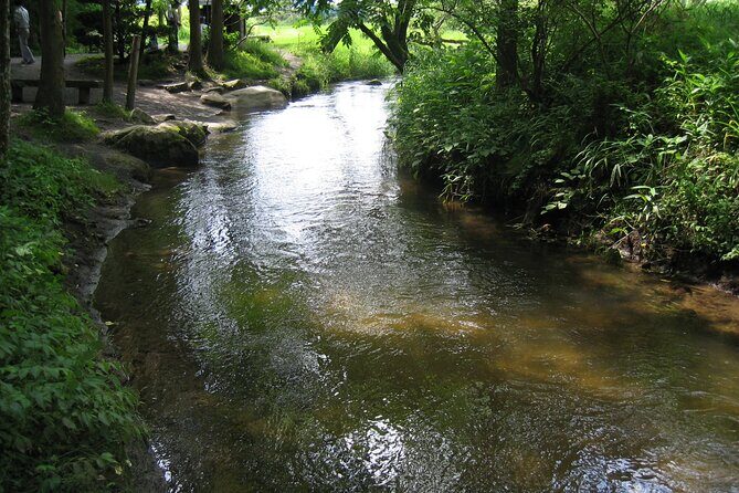 All Must-Sees Tono Private Tour with Government-Licensed Guide - Practical Details and Tips