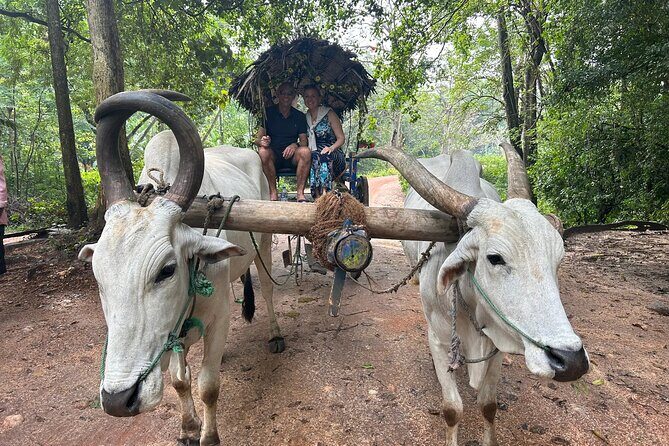 All of Sri Lanka within 10 Days - A Deep Dive into the 10-Day Sri Lanka Tour