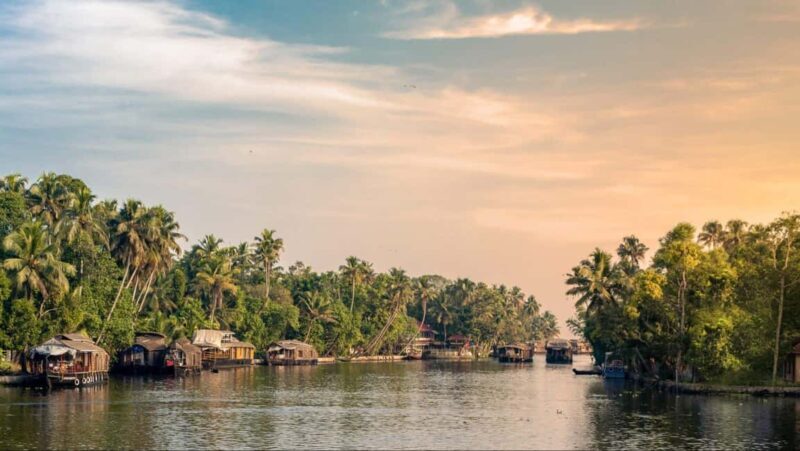 Alleppey Backwaters Delight: Private Houseboat Day Trip - Key Points