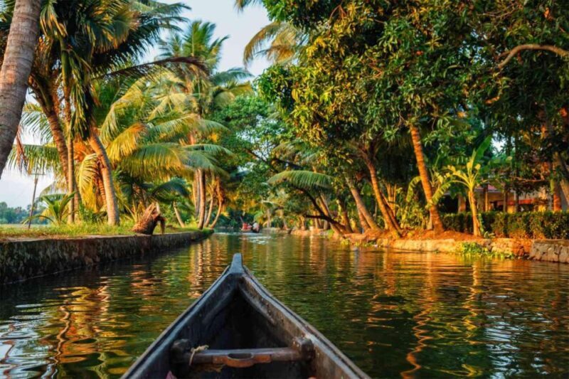 Alleppey Shikara boat ride - The Experiences Strengths and Considerations