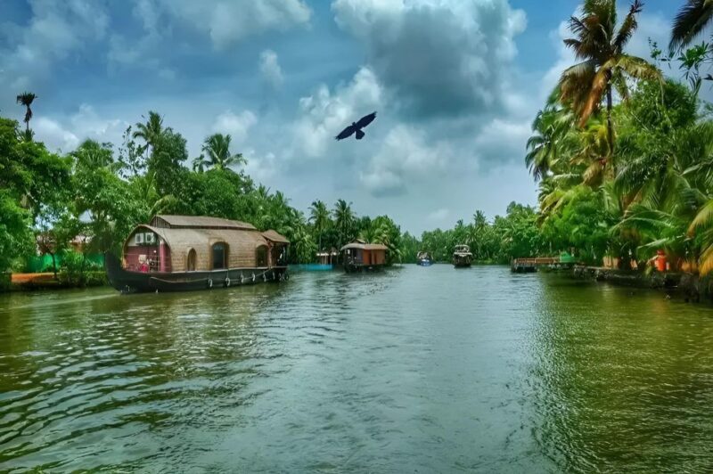 Alleppey Shikara boat ride - Who Will Love This Tour?