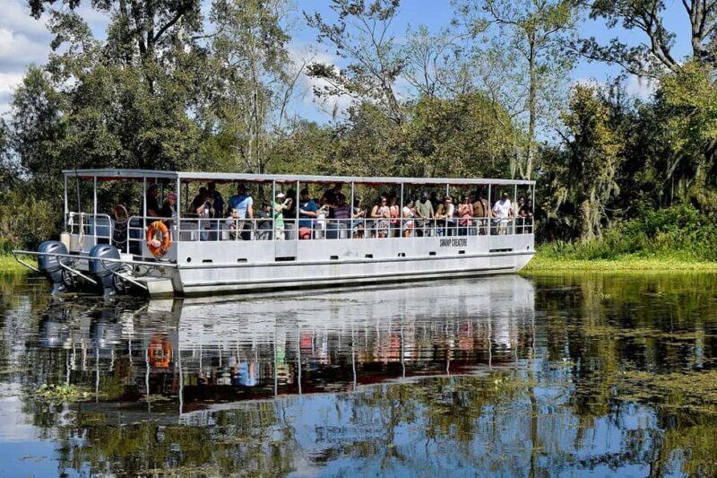 Alligator Swamp Tour by Gray Line New Orleans - An In-Depth Look at the Experience