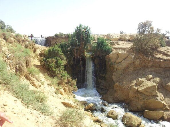 Allinclusive Private Tour Fayoum Oasis & Valley of Wales - Exploring the Fayoum Oasis & Valley of the Whales: A Practical Guide