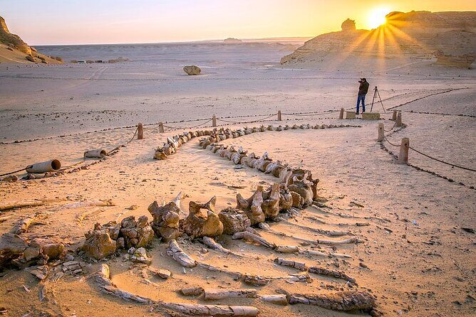 Allinclusive Private Tour Fayoum Oasis & Valley of Wales - An In-Depth Look at the Fayoum Oasis & Valley of the Whales Tour