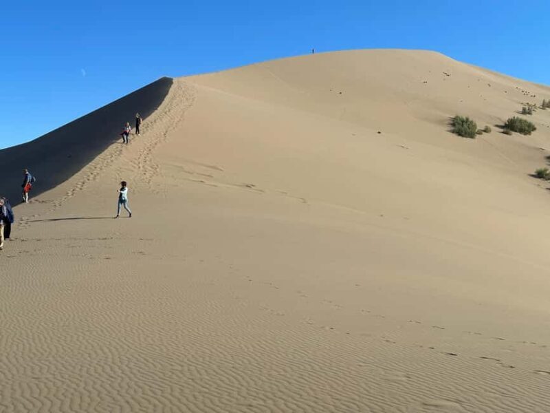 Almaty: 2-Day Altyn-Emel National Park Tour with Meals - Why Choose This Tour?