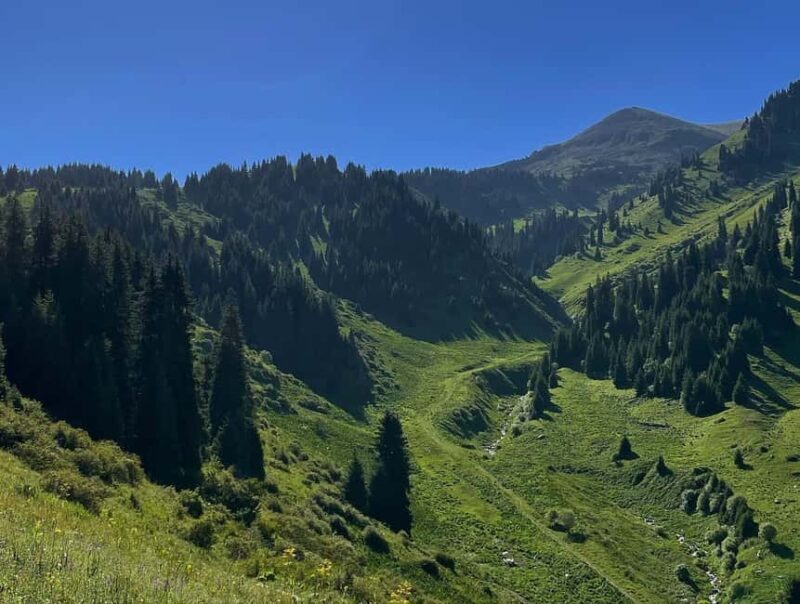 Almaty Advanced Hiking: Four Peaks Hike - Key Points