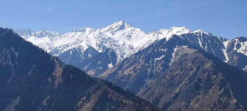 Almaty: Falconry show and Big Almaty Gorge - Authentic Experiences & Reviews