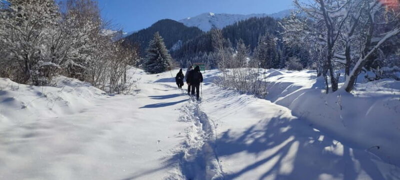 Almaty: Hiking to the High Mountain Pasture Kok Zhailau - FAQ