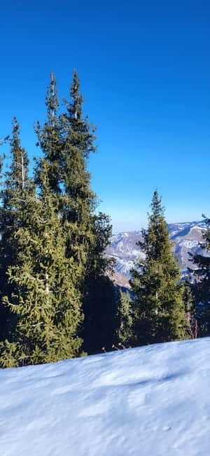 Almaty: Kok Zhailau Mountain and Batareika Waterfall Hike - Experience Overview