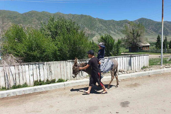 Almaty Region 3 Days Tour from Almaty - An In-Depth Look at the 3-Day Itinerary
