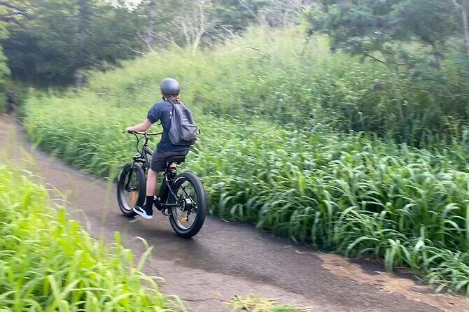 Aloha West Maui 2-Hour Self-Guided Electric Bike Tour - What the Reviews Say