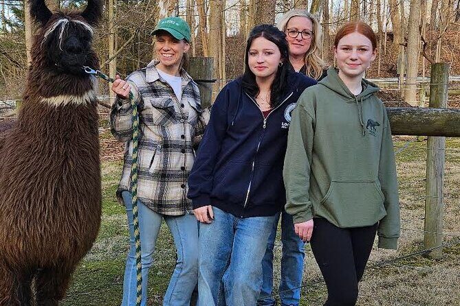 Alpaca and Llama Encounter with Guided Walk - Important Practical Details