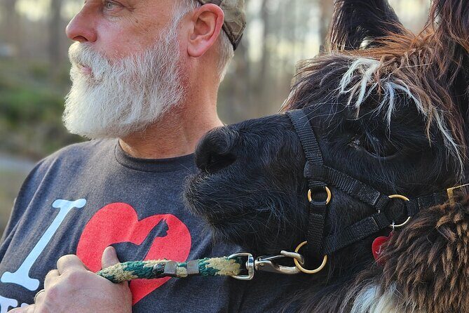Alpaca and Llama Encounter with Guided Walk - Final Thoughts