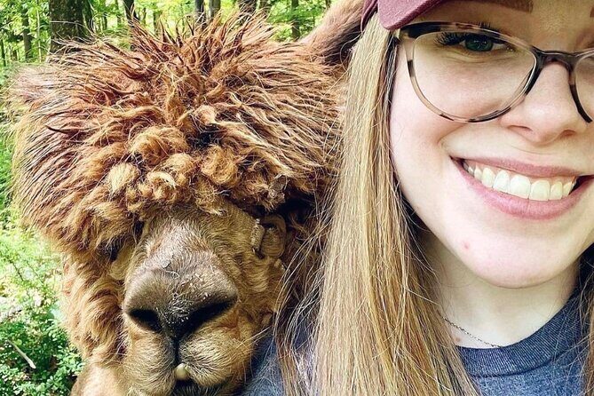 Alpaca and Llama Trek in Pleasant Valley - A Closer Look at What to Expect