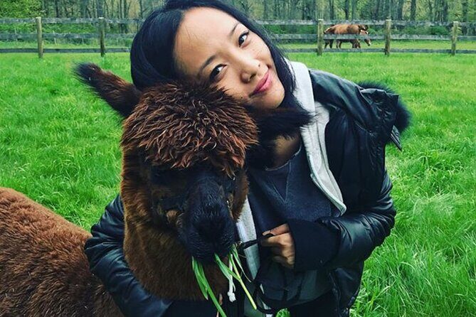 Alpaca and Llama Trek in Pleasant Valley - The Value of This Experience