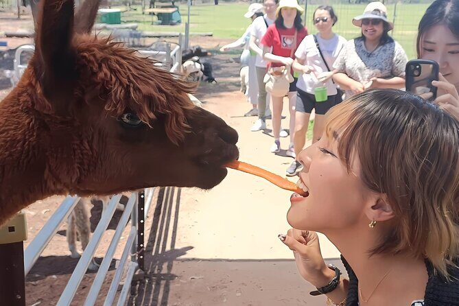 Alpaca Feeding with Wildlife and Nature Park Visit Private Tour - Introduction: A Private Day of Wildlife, Gardens, and Scenic Views