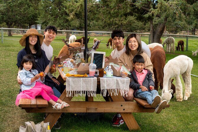 Alpaca Picnic Experience in Oregon - A Detailed Look at the Alpaca Picnic Experience