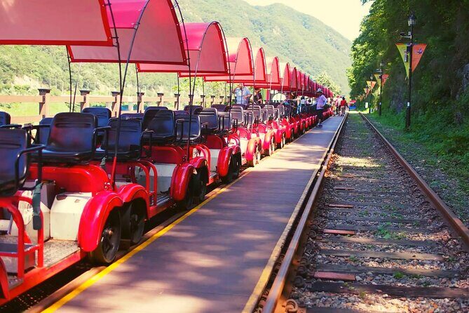 Alpaca World and Nami Island with Gangchon Rail Bike Tour - An Overview of the Tour Experience
