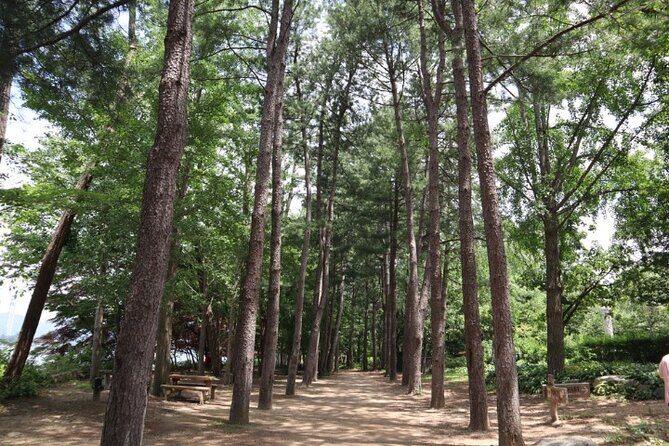 Alpaca World and Nami Island with Gangchon Rail Bike Tour - What the Reviews Say