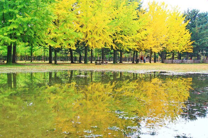 Alpaca World Tour with Nami Island & opt Railbike or Garden/Park - The Sum Up: Who Will Love This Tour?