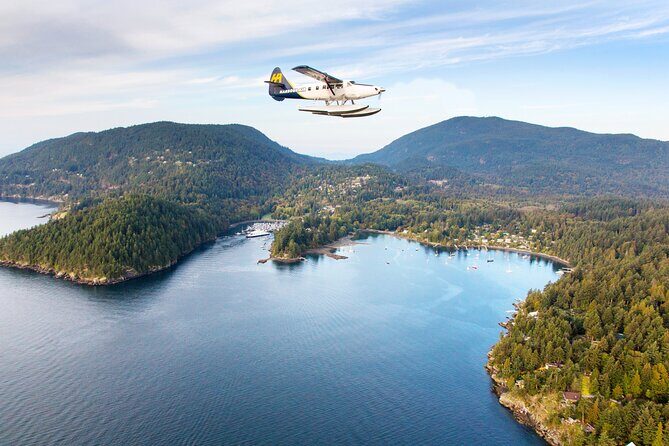 Alpine Lakes and Glaciers Tour by Seaplane with Pickup - Frequently Asked Questions