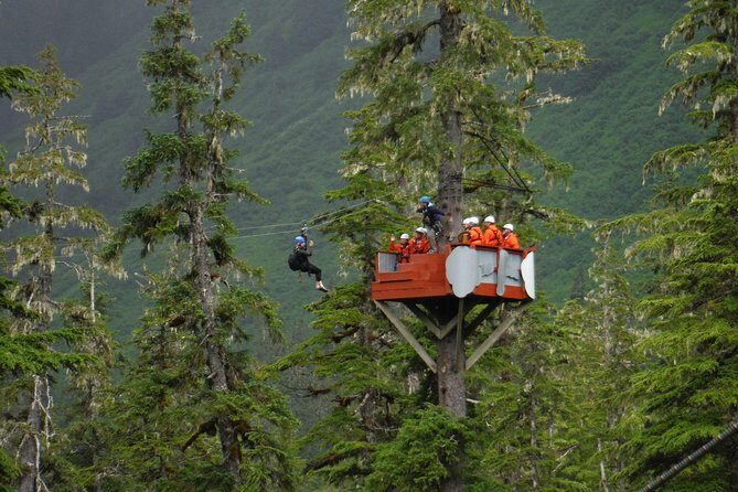 Alpine Zipline Adventure in Juneau, AK - Is It Worth the Price?