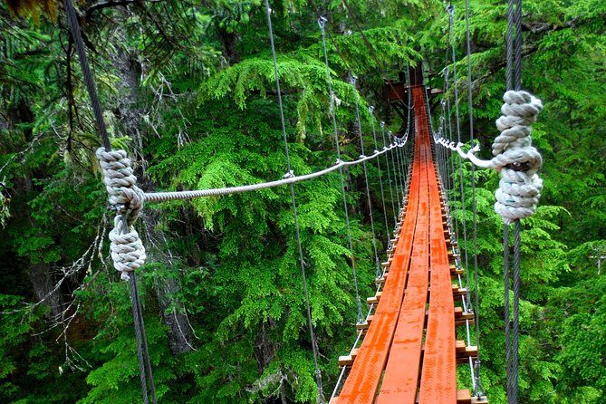 Alpine Zipline Adventure in Juneau, AK - Who Should Consider This Tour?