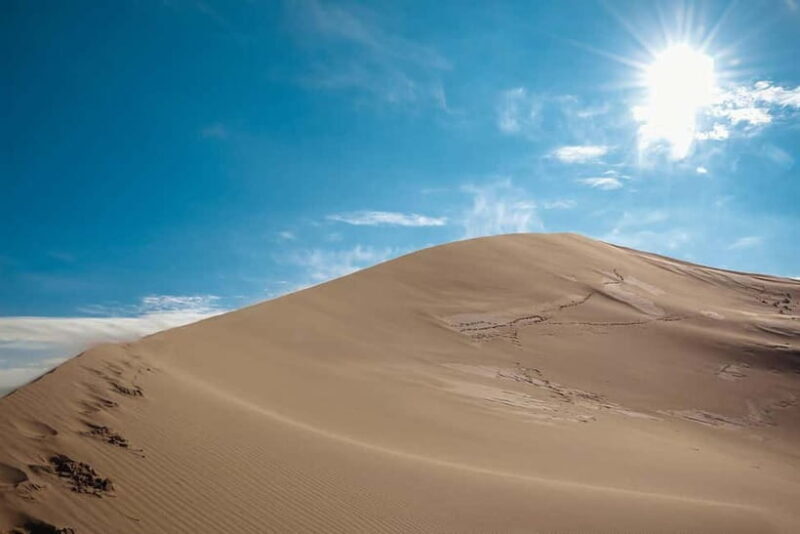 Altyn-Emel National Park: 1-Day Adventure - Wildlife Encounters and Nature Experiences