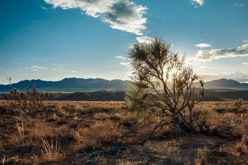 Altyn-Emel National Park: 1-Day Adventure - FAQ