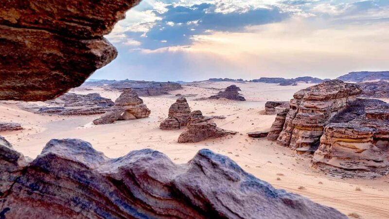 AlUla: Sharaan Nature Reserve - An In-Depth Look at the Sharaan Nature Reserve Tour
