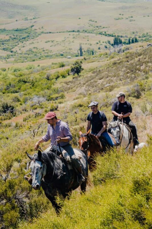 Aluminé: 4-Day Patagonian Horseback Riding Tour with Lodging - Key Points