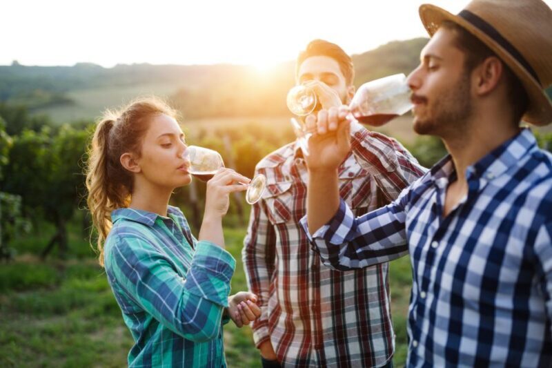 Amador County Wine Tasting Digital Passport - Key Points