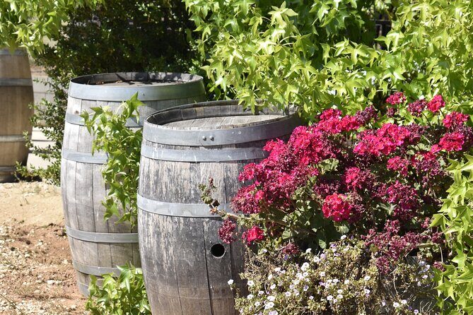 Amador County Wine Tasting Tours max 14 pax Private Wine Tours - Final Thoughts