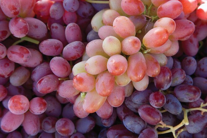 Amador County Wine Tasting Tours max 14 pax Private Wine Tours - FAQ