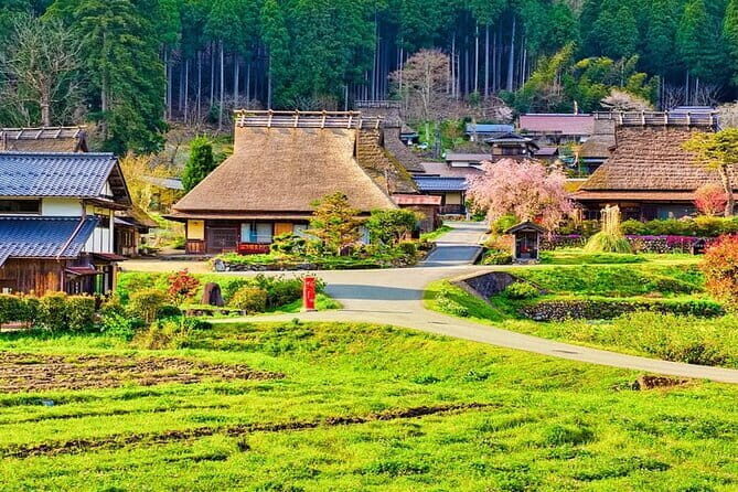 Amanohashidate Ine Funaya Miyama Village No Sato Tour from Osaka - Key Points