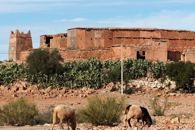 Amazigh Fortified Granaries - Key Points