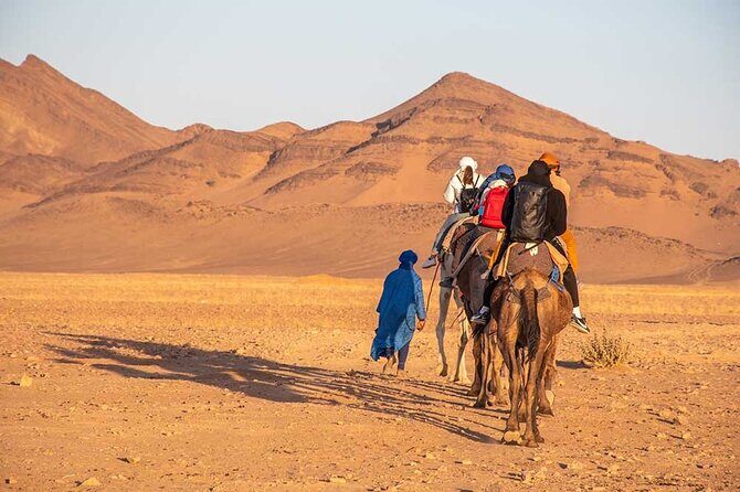 Amazing 2 days From Marrakech To Zagora - Day 1: From Marrakech through the High Atlas to Ait Ben Haddou