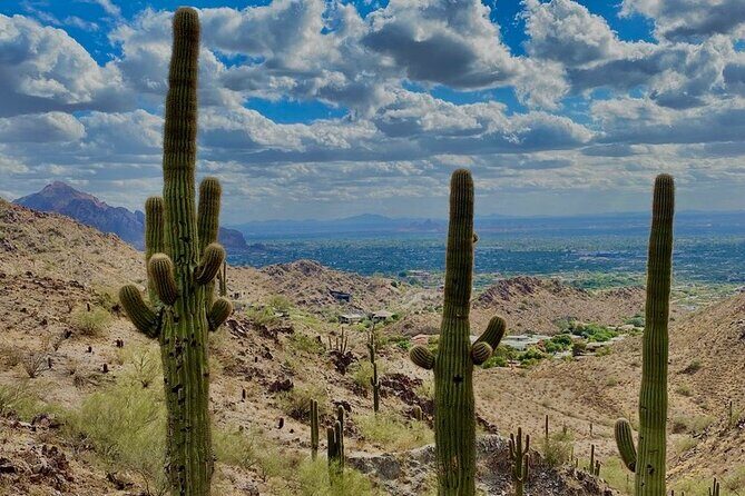 Amazing 2-Hour Guided Hiking Adventure in Phoenix, Arizona - Who Should Consider This Tour?