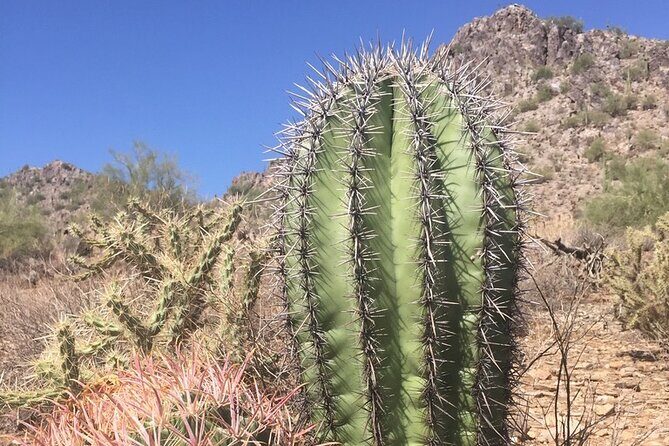 Amazing 2-Hour Guided Hiking Adventure in Phoenix, Arizona - The Sum Up: Is This the Right Experience for You?