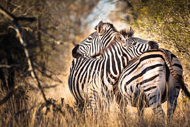 Amazing 4 Days Safari 3 Nights: Tarangire, Ngorongoro, Serengeti - Introduction: What You Can Expect from This Safari