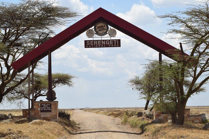 Amazing 4 Days Tanzania Budget Camping Group Joining Safari - The Sum Up