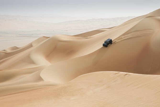 Amazing Abu Dhabi Evening Safari - An In-Depth Look at the Abu Dhabi Evening Safari