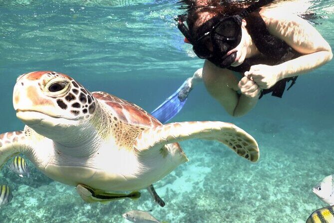 Amazing Adventure in Akumal. Swim with turtles and discover Tulum Ruins. - What Makes This Tour Stand Out